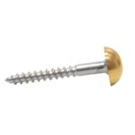 38mm x 8 EB Dome Mirror Screws