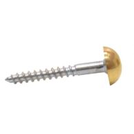 38mm x 8 EB Dome Mirror Screws